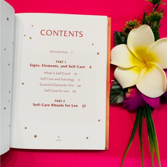CONSTANCE STELLAS ~ The Little Book of Self-Care for Leo the Lion Zodiac Sign - Picture 3 of 11